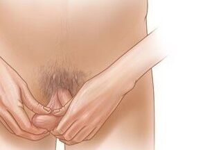 Gelatin exercises to increase the penis